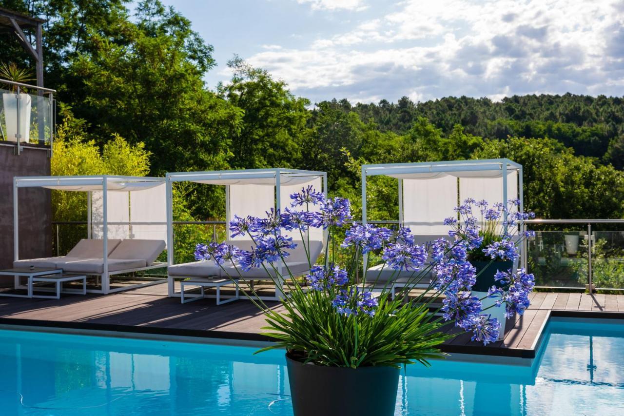 Domaine De Chalveches Hotel Spa 4* Faugeres  Dış mekan fotoğraf