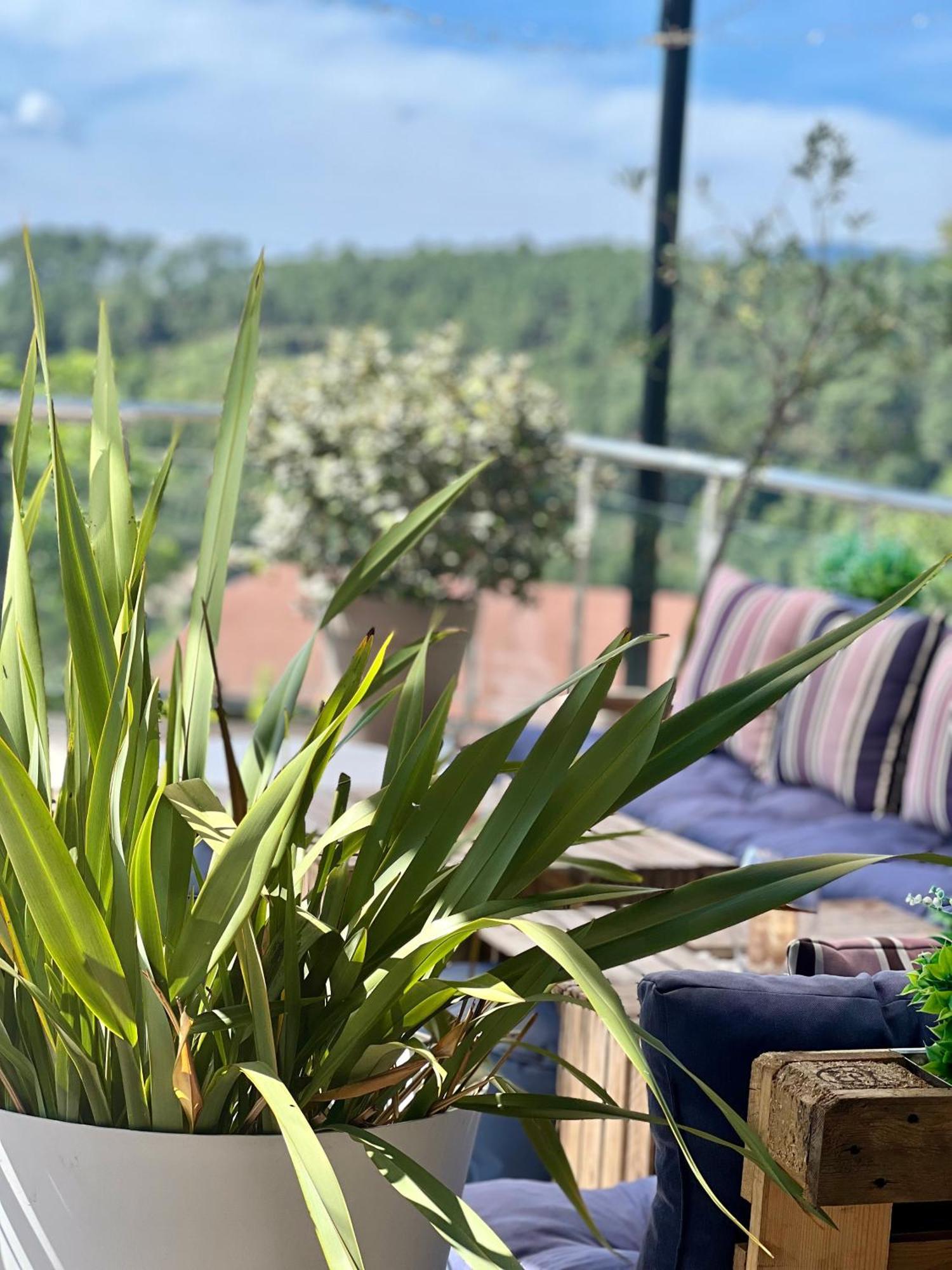 Domaine De Chalveches Hotel Spa 4* Faugeres  Dış mekan fotoğraf